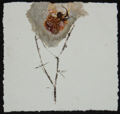 Bild Nummer 5 der K�nstlerin