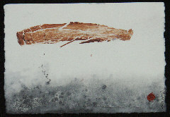 Bild Nummer 6 der K�nstlerin